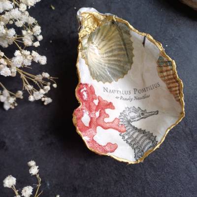 Austerschale • Seepferdchen •