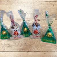 Stickdatei Weihnachten Schoko Nase Name Rentier & Tanne 13x18 Set 905 mit Anleitung Bild 3