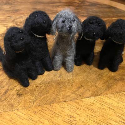 14 Labradoodles für Caolin als Weihnachtsbaum-Anhänger