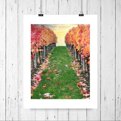 Weinberg im Herbst, Weinland Franken, Herbstlaub rot, Weinblätter, Heimatbild Weinland Unterfranken, Größe 18 x 24 cm