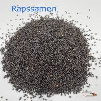 Augenkissen mit Rapssamen – Entspannung bei Yoga, Migräne & Pollenallergie Bild 6