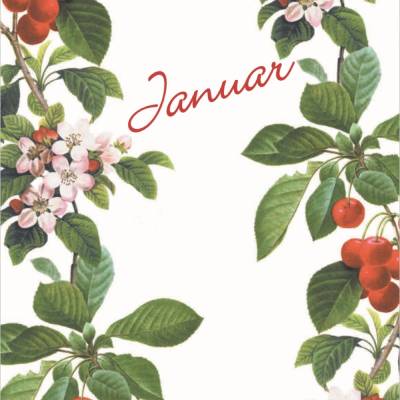 Monatskarte Januar, Postkarte mit Zweigen, Apfelblüten und Kirschen