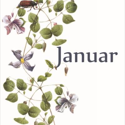 Monatskarte Januar, Postkarte Das Gesumms, mit Käfer und rankenden Blumen