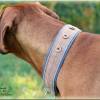 Halsband GLENCHECK mit Zugstopp für deinen Hund, Hundehalsband in rot oder blau Bild 6