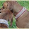 Halsband GLENCHECK mit Zugstopp für deinen Hund, Hundehalsband in rot oder blau Bild 8