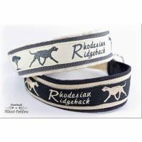 Halsband - RHODESIAN RIDGEBACK - Hundehalsband mit Zugstopp, Hund Bild 1