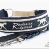Halsband - RHODESIAN RIDGEBACK - Hundehalsband mit Zugstopp, Hund Bild 3