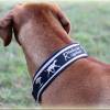 Halsband - RHODESIAN RIDGEBACK - Hundehalsband mit Zugstopp, Hund Bild 8