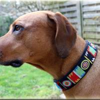 Hundehalsband MASSAI, Zugstopp Halsband für Hunde, in vier Farben, Martingale, Rhodesian Ridgeback, Afrika Bild 3