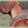 Halsband CAMOUFLAGE mit Zugstopp für deinen Hund, Hundehalsband in Flecktarn, Martingale Bild 5