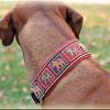 Halsband INDIA mit Zugstopp für Hunde, Elefant  Hundehalsband in verschiedenen Farben für den großen Hund Bild 2