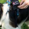 Telefon- Namensschild Kletti „zum wenden“ für Hunde  Y Geschirr Bild 2