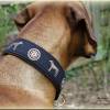 Halsband RHODESIAN RIDGEBACK mit Zugstopp für deinen Hund, Hundehalsband bestickt, Martingale Bild 3
