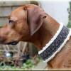 Halsband WINTER mit Zugstopp für deinen Hund, Hundehalsband Martingale Bild 3