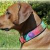 Halsband PATCHWORK mit Zugstopp für deinen Hund, Hundehalsband Martingale Bild 3
