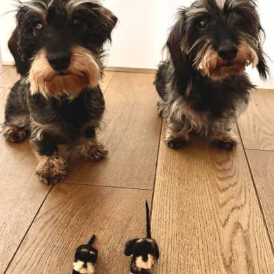 Filzhund nach Foto – personalisiertes Geschenk für Hundebesitzer als Lesezeichen, Schlüsselanhänger & Autospiegel-Anhänger
