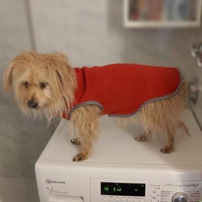 Fleecepulli mit Rollkragen und Bauchlatz, Hunde-Pullover, Hundemantel in XXS bis S, verschiedene Farben, Wintermantel