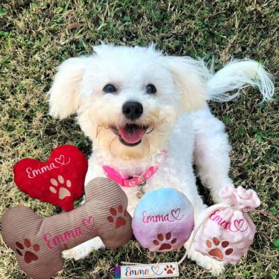 Stickdatei Geschenkset für Tiere – Hundespielzeug, Leckerli Beutel & Anhänger Set 25123