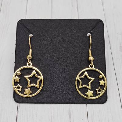 Edelstahl Ohrhänger 