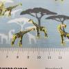 Jersey Baumwolljersey Safari  Giraffen wasserblau Oeko-Tex Standard 100(1m/13,-€) Bild 2