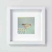 Vogel Print, herziges Geschenk für das "Spatzl" an deiner Seite, Fine Art Print 13 x 13 cm + 20 x 20 cm Bild 1