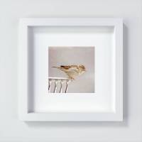 Spatz Kunstdruck, kleiner Vogel, Vogel-Liebhaber-Geschenk, Tier, Kinderzimmerdekor Wand Dekoration, 13x13 cm, 20x20 cm Bild 1
