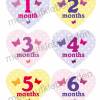 12 Baby Monatsaufkleber | Baby´s 1. Lebensjahr - Herz mit Schmetterlingen Bild 2