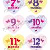 12 Baby Monatsaufkleber | Baby´s 1. Lebensjahr - Herz mit Schmetterlingen Bild 3