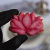 4er Set Keksausstecher Set Yoga Buddha Lotus Blüte 4 Ausstecher Ausstechformen Buddismus Geschenk  inkl 2 Rezepten Bild 9