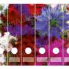 Ordnerrücken Aufkleber - Wiesenblumen | 6 er Set Aufkleber für breite Ordner Bild 3