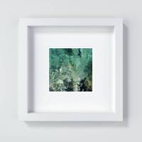 Wasser, glasklares Meer von mint bis grün, Fotografie, Wandbild und Kunstdruck in den Größen 13 x 13 cm, 20 x 20 cm Bild 1