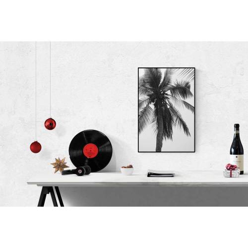 Fotografie einer Palme in Schwarz-Weiß, tropische Wanddeko für dein Zuhause mit dem Namen "Palm Tree", Größe 45 x 30 cm