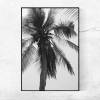Fotografie einer Palme in Schwarz-Weiß, tropische Wanddeko für dein Zuhause mit dem Namen "Palm Tree", Größe 45 x 30 cm Bild 3