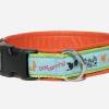 Hundehalsband »Dogdancing № 2« mit echtem Leder unterlegt aus der Halsbandmanufaktur von dogs & paw Bild 2