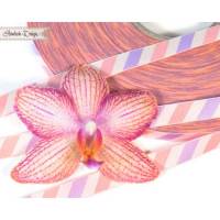 1m (1,20EUR/m) Diagonal Wild Orchid lila/beige/orange Webband Bild 1