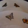 Tee oder Kaffeegedeck für 2 mit Schmetterlingen Unikat Bild 3
