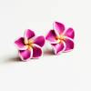 Summer Flowers  - Hawaii feeling Blüten - Flower - Plumeria - Frangipani Bild 2