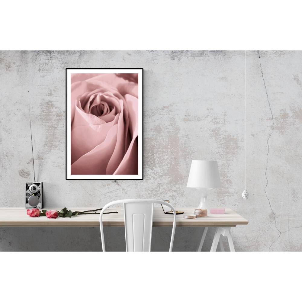 Rose in Altrosa, Botanisches Poster einer Nahaufnahme, in Blume