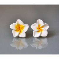 Summer Flowers  - Hawaii feeling Blüten - Flower - Plumeria - Frangipani Bild 1