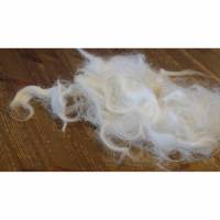 100 Gramm Wolle vom Greyfaced Dartmoor Bild 1
