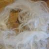 100 Gramm Wolle vom Greyfaced Dartmoor Bild 4