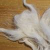 100 Gramm Wolle vom Greyfaced Dartmoor Bild 5