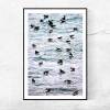 Puffins, Papageientaucher oder Lundis, Vögel im Meer, eine originelle Dekoration für das Kinderzimmer, Poster 30 x 45 cm Bild 2