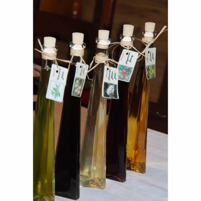 13 Wilde - Magenbitter