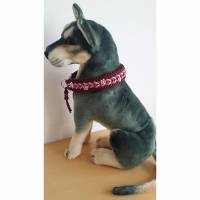 Tolles Hunde-Halsband aus dem Hause Knotenwerke Paracord Bild 1