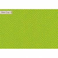 0,20m BW „Junge Linie" Punkte klein hellgrün/grün 17EUR/m Westfalen Bild 1