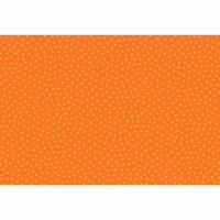0,20m BW „Junge Linie" Punkte klein orange/gelb 18EUR/m Westfalen Bild 1