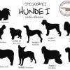Schäferhund, Impfpasshülle für Dein Haustier, personalisierbar, Variante zum Aufklappen möglich, aus Wollfilz, von Dieda Bild 3