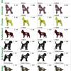 Schäferhund, Impfpasshülle für Dein Haustier, personalisierbar, Variante zum Aufklappen möglich, aus Wollfilz, von Dieda Bild 8