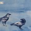 20cm Bio-BW „Blackbird – Journey" Amsel blau 24EUR/m GOTS monaluna Bild 2